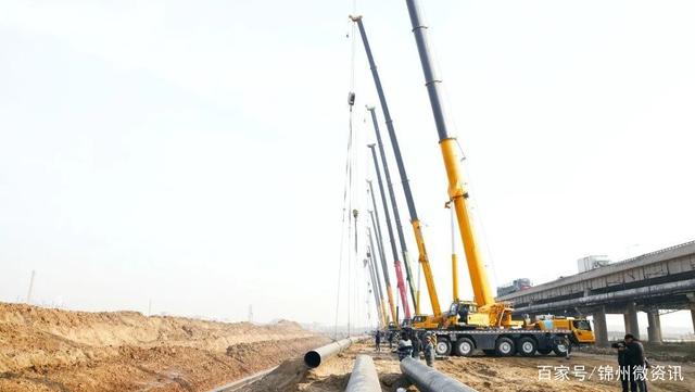 1606815657420463.jpeg b64543a98226cffccc6da6fddcb7d797f703ea7c.jpeg